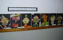 Exercícios Criativos