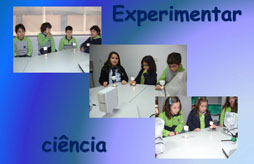 Pequenos grandes curiosos