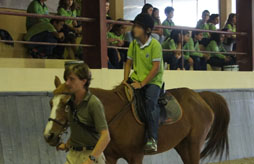 Visita à escola de equitação